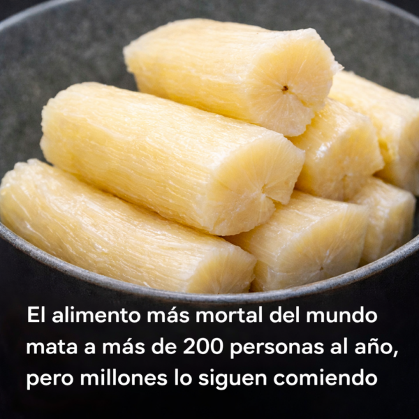 Expertos Recomiendan Revisar para una Dieta Más Equilibrada
